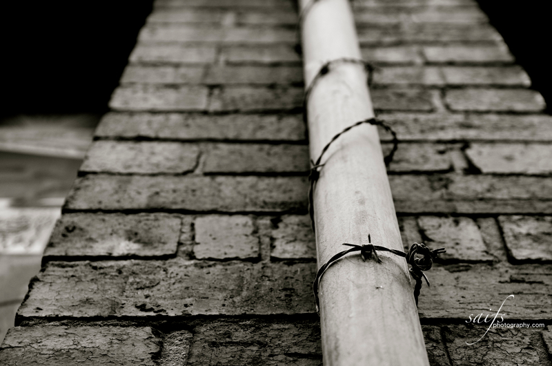 20110703 - Out and about 3 wm