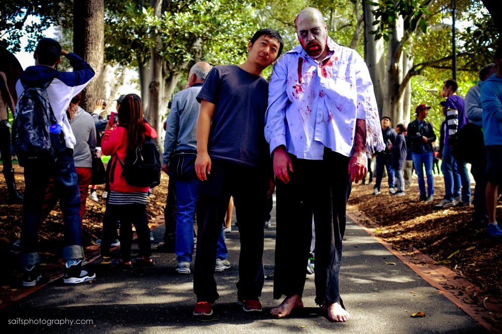 ZombieShuffle2014-11