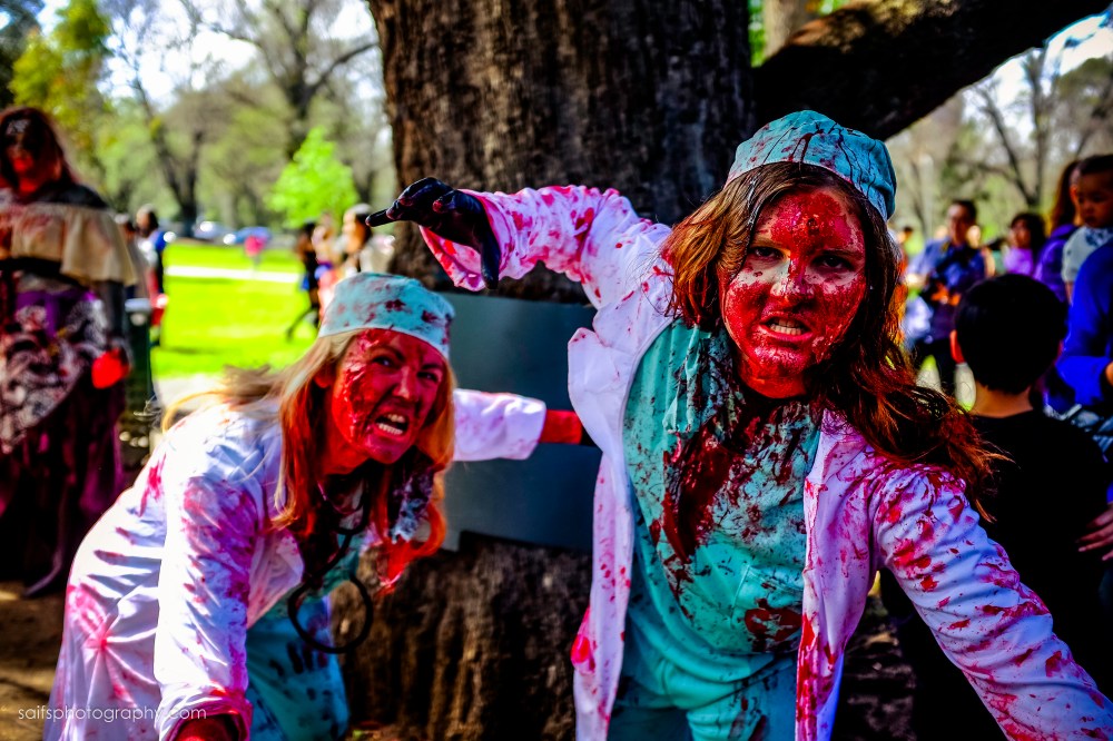 ZombieShuffle2014-15